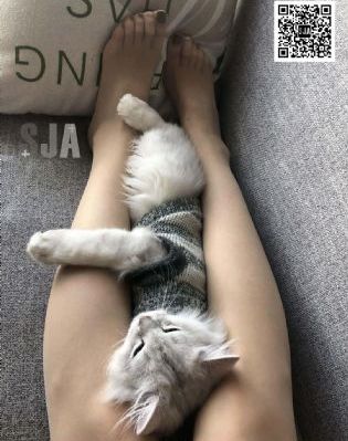 花房姑娘电视剧在线观看免费